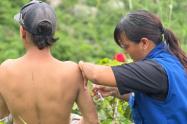 Vacunación fiebre amarilla | Fiebre amarilla en Tolima | Fiebre amarilla | Noviembre 2024