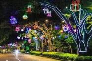Alumbrado navideño Ibagué