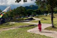 Cometas Ibagué