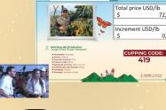 Subasta | Feria Internacional del Café | Líbano, Tolima | Agosto 2025