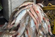 Pescado en Ibagué