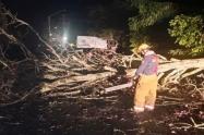 Emergencias por Lluvias | Inundaciones | Caída de Arboles | Agosto 2025