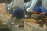 Abuelito La Gaviota