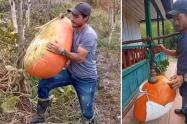 Auyama en Murillo | Tolima | Murillo, Tolima | Septiembre 2025