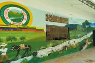 Institución Educativa Laureles Ibagué 