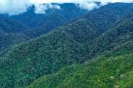 Reservas Naturales Huila