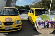Taxis purpura Neiva.