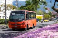 Busetas Ibagué | Buseta de transporte público | Transporte Ibagué | Diciembre 2025