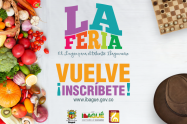 44LaFeriaIbague.png