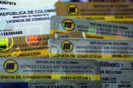 49LicenciadeConduccion.jpg