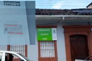 FundacionPecesVivos.jpg
