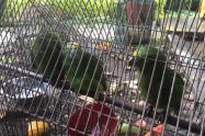 IMG-20180326-WA0015.jpg