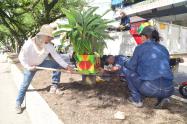 Separador-calle-15-20-Mil-Plantas-120-Metros-Cúbicos-de-Sustrato-.jpg