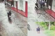delincuentes-en-moto-atracaron-a-una-joven-en-el-barrio-jordan.jpg