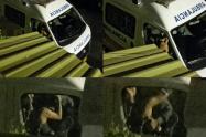 denuncian-espectaculo-en-ibague-a-bordo-de-una-ambulancia.jpg