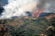 incendioforestal1.jpg