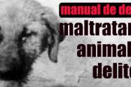 maltrato-animal-manual-denuncia.jpg