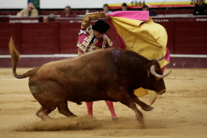 Corrida de toros 