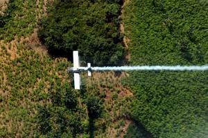 Fumigación aérea de cultivos ilícitos en Tumaco (Nariño)