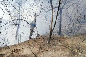Incendio forestal en Honda fue controlado en 100%