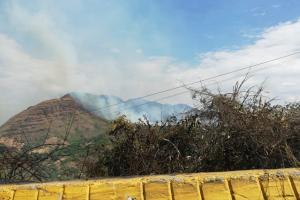 En el municipio de Alvarado las emergencia ya ha consumido más de 1500 hectáreas