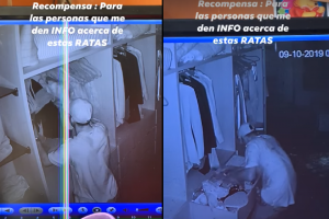 En vídeo quedó grabado uno de los cacos.