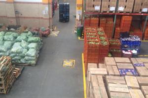 La campaña se llevará a cabo en conjunto con la gobernación del Tolima