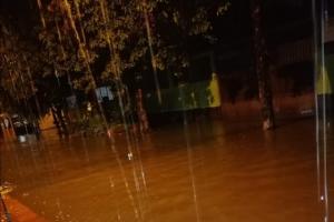 La situación más delicada se presentó en el Barrio Belén, donde el nivel de la inundación alcanzó más de un metro de altura