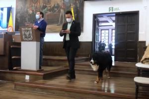 Perro en el Concejo de Bogotá