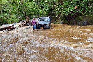 crecimiento de quebrada La Plata