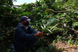 Campesinos Ibagué