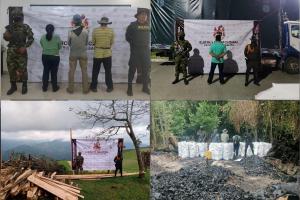 Incautaron madera y carbón sin los permisos para su comercialización en Armero, Líbano y Venadillo
