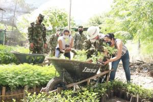 Reforestación en el Tolima