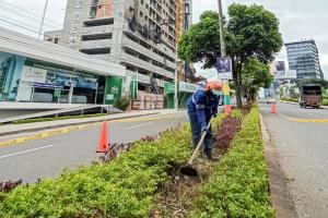 Mantenimiento carrera Quinta Ibagué Limpia