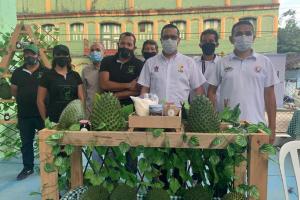 Planta de guanabana