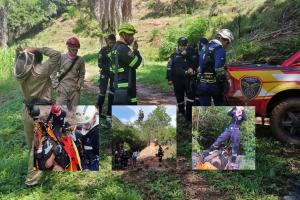 Rescataron 6 personas que fueron atacadas por un enjambre de abejas