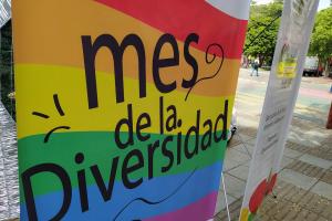Comité municipal de diversidades sexuales