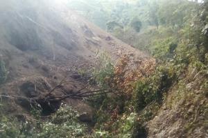 Tarqui Huila