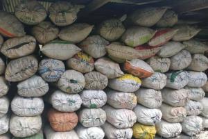 Explotaban reserva natural para producir carbón en Pitalito Huila
