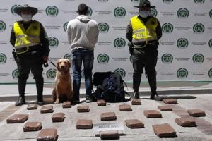 ¡De nuevo lo hizo Jefry!, el canino antinarcóticos detectó a un pasajero en Boquerón con 19 kilos de marihuana