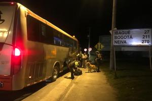 Cayeron otras 10 mil dosis de marihuana en Cajamarca