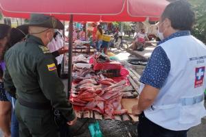 Policía Tolima realiza controles a ventas de pescado en esta Semana Santa