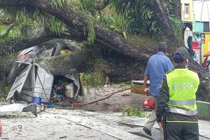 Cayó árbol sobre caseta y esta se incendió en el Parque Andrés López de Galarza en Ibagué