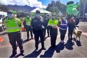 Se efectuaron operativos y planes en Ibagué, Cajamarca y Alvarado.