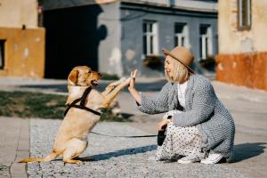 Perros
