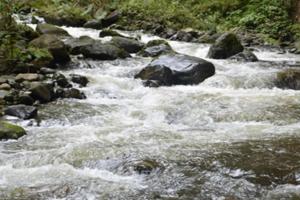 Menor de 10 años con cayó desde un puente al río Combeima en Llanitos, Cañón del Combeima