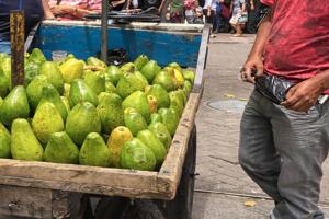 ¡Que liso! Vendedor de aguacates se robó un bolso con portátil de Metaima 2 en Ibagué