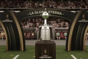 Copa Libertadores Palmeiras Flamengo 