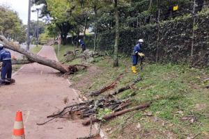 Atención de cuadrillas de INFIbagué