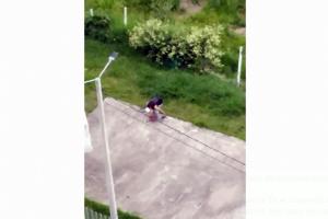 Maltrato animal en el conjunto Altos de Berlín en Ibagué